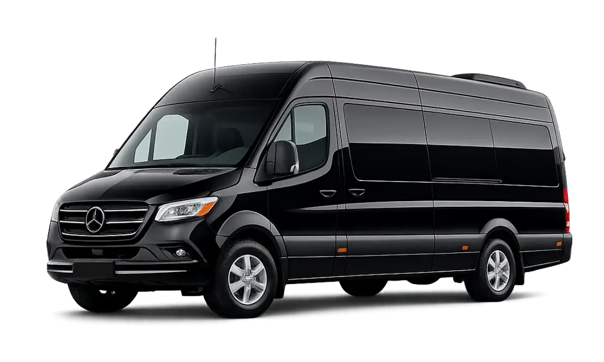 luxury chauffeur, black car service in tampa